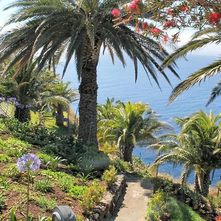 Da Falesia By Ourmadeira